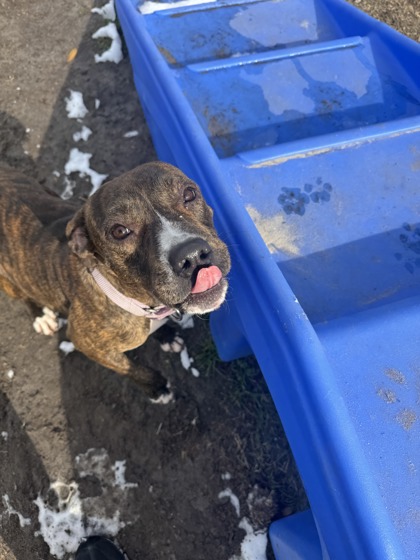 Winter @ Foster Home 2