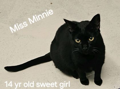 ms. minnie