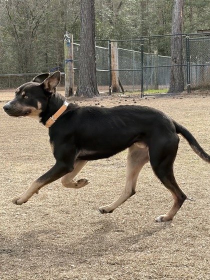 Marshall aka September 2