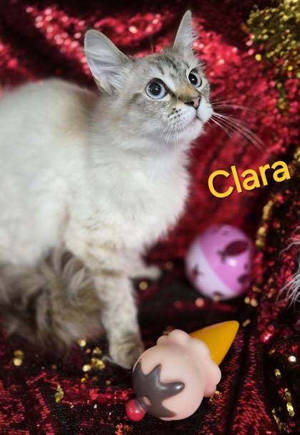 Clara