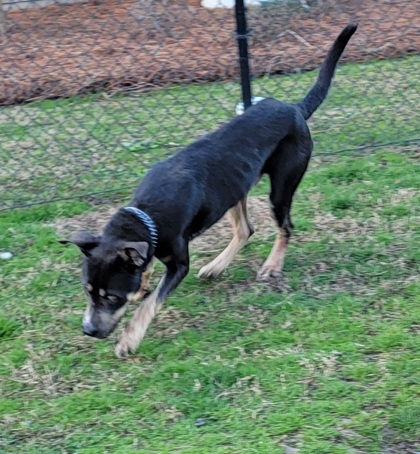 Marshall aka September 2