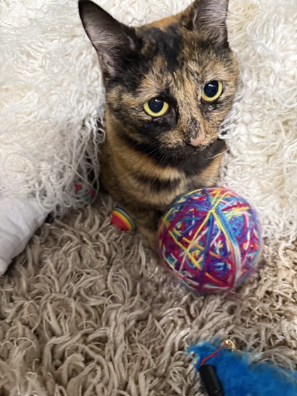 Mary Kate @ PetSmart