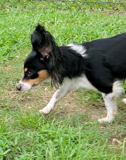 Kiva
