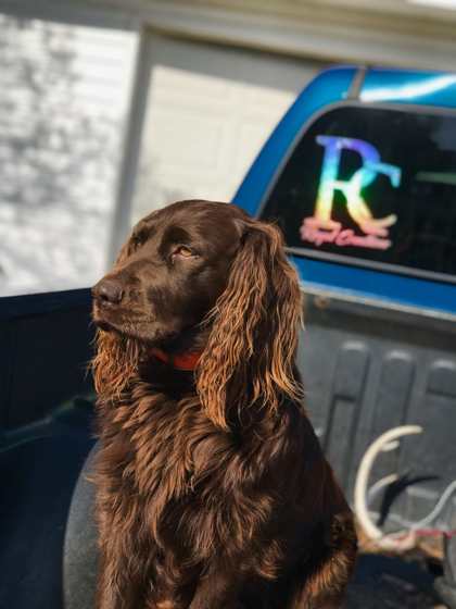 Remmie