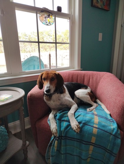 Drake @ (Foster Home)