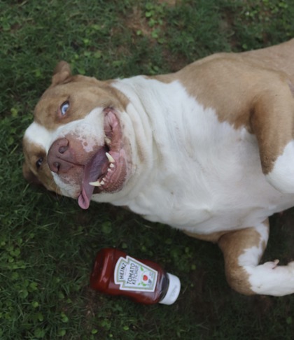 Ketchup