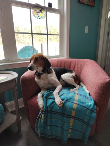 Drake @ (Foster Home) 2