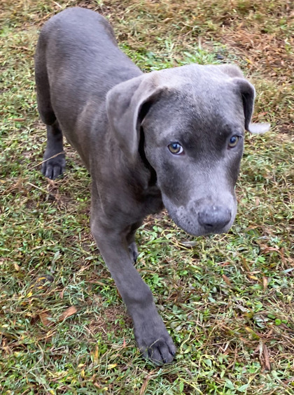 Scream (@ Playcard Event) 3