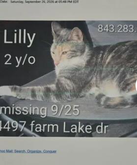 Lilly