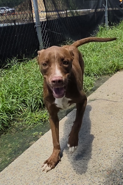 Maggie
