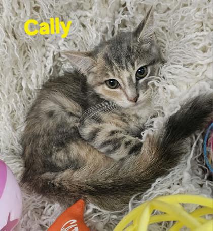 Cally