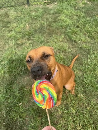 Candy 2