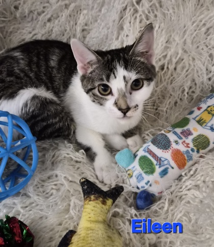 Eileen