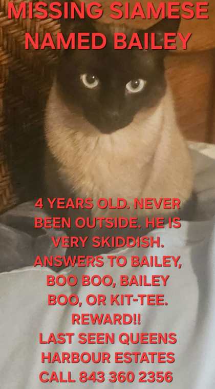 Bailey