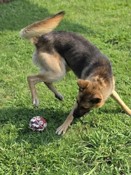 Dr. Pepper