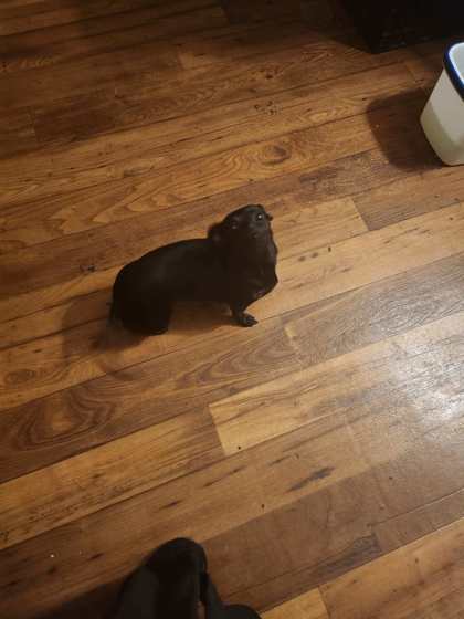 little one