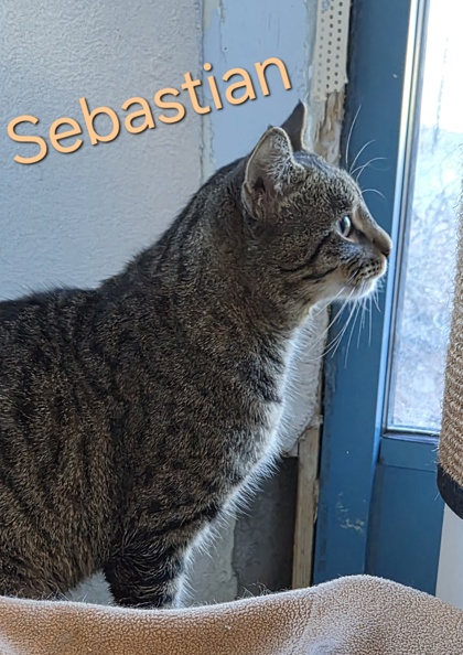 Sebastian