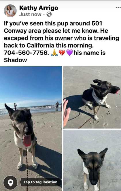 Shadow