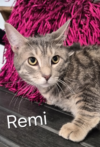 Remi fka Clyde
