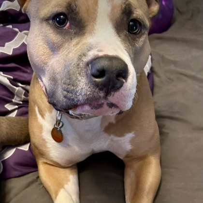 Rosie