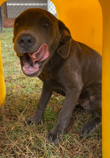 Bone (@ Playcard Event) 3