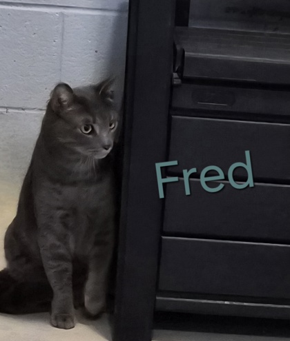 Fred