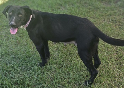 Trudy(HW+) 3