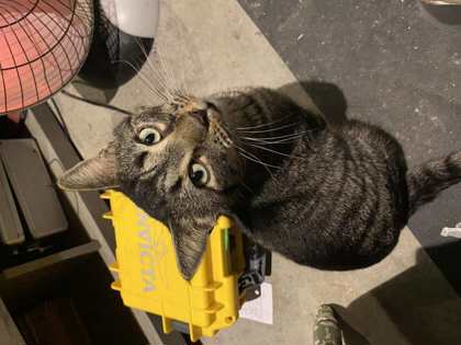 59598451 2