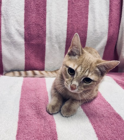 Winnie