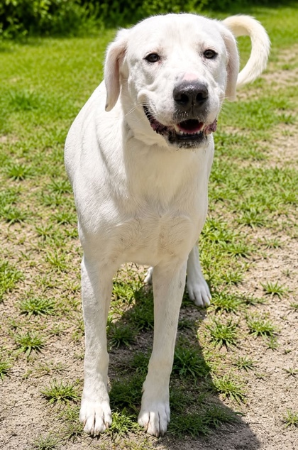 Chloe photo