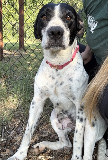 Matilda photo