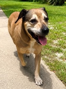Buddy photo