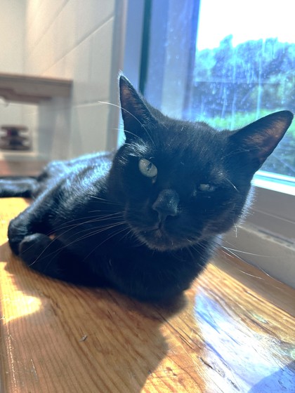 Salem photo