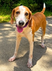 Beatrice photo