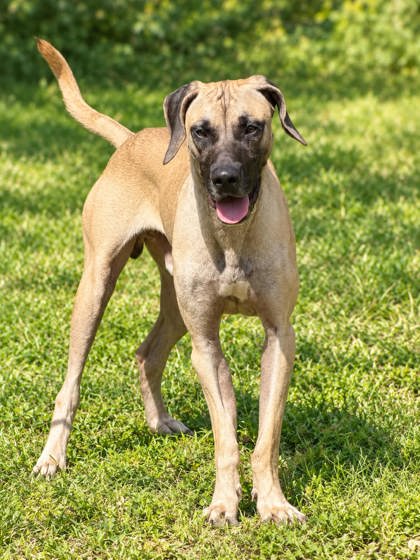 Sawyer photo