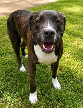 Ember photo
