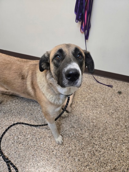 Found: HWY 93 N MM 154