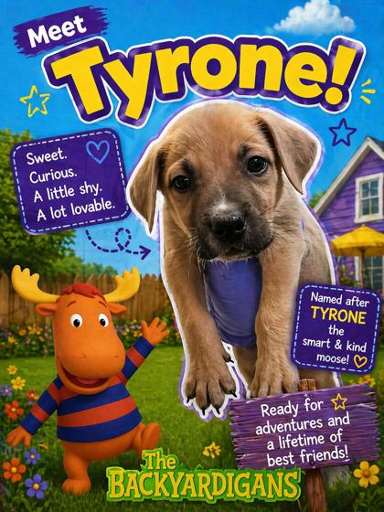 Tyrone