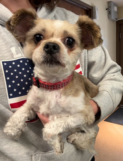 Maggie Mae