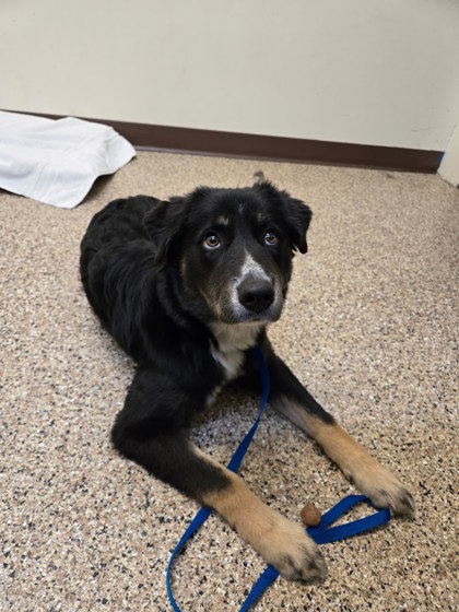 Found: Jellison Rd