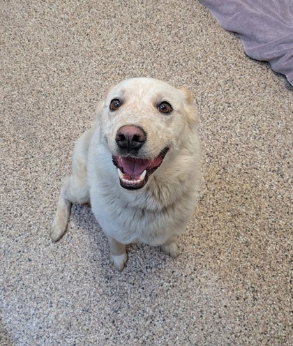 Found: Foothills Rd