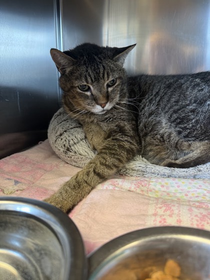 Found: Underhill/W Arizona St