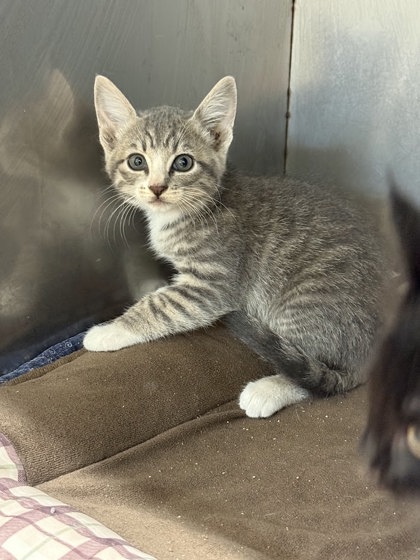 Found: Reserve Dr