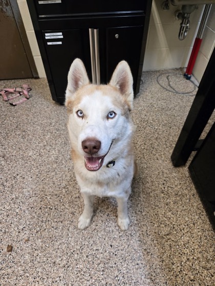 Found: Springhill Rd