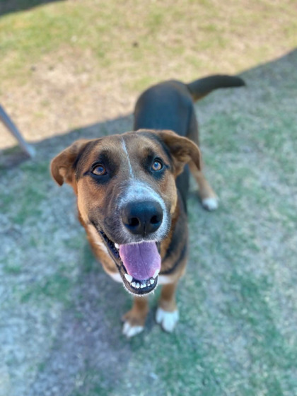 DIEGO