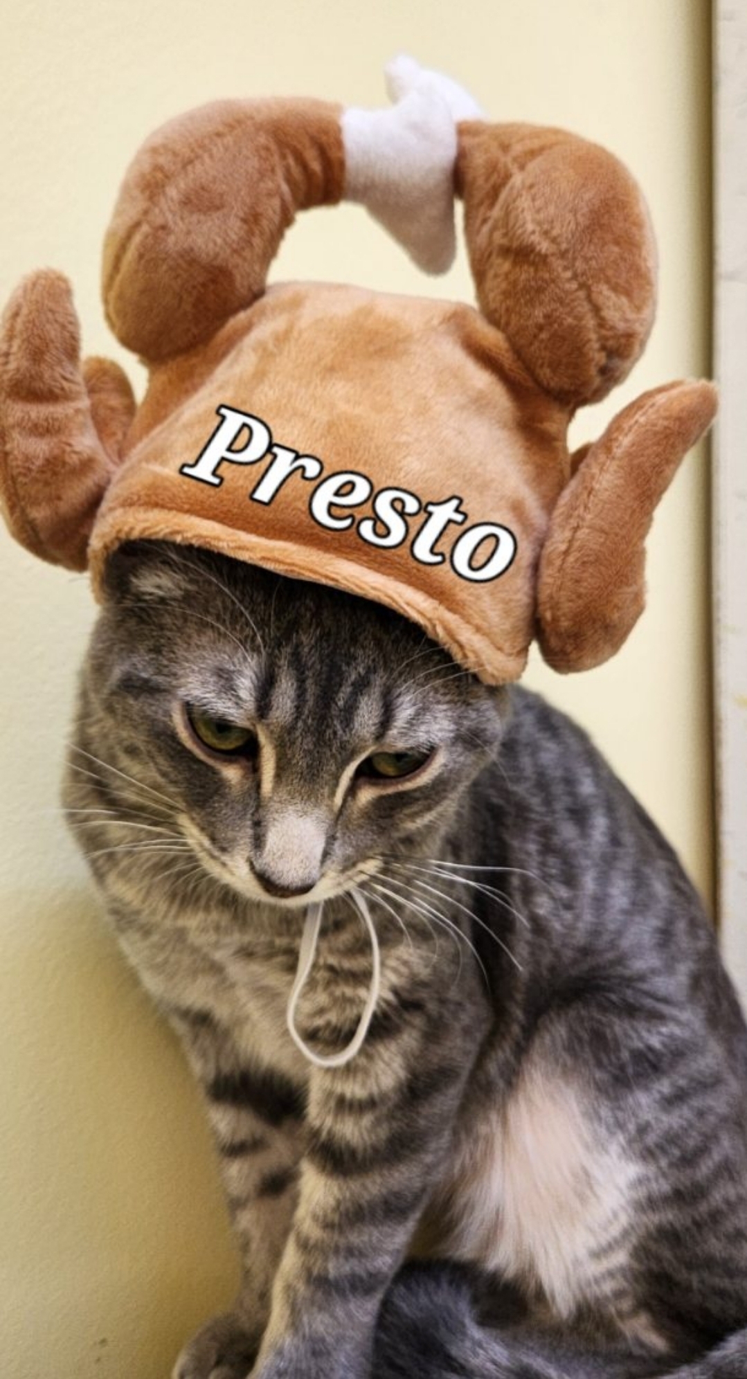 Presto