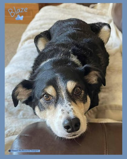 Blaze bonded to Aliena