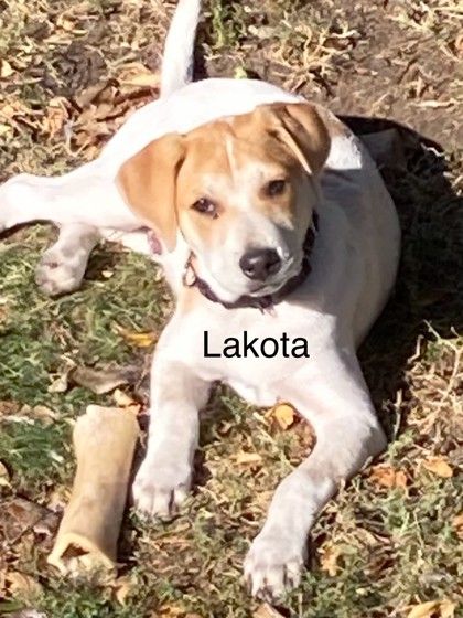 Lakota