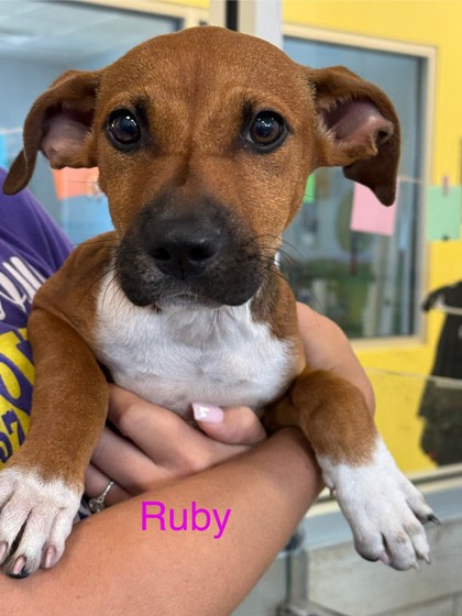 Ruby