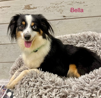 Bella